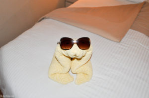 Celebrity Cruise – Constellation – State room decoration