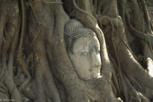 Ayutthaya-0004