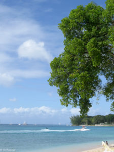Barbados Island-0013