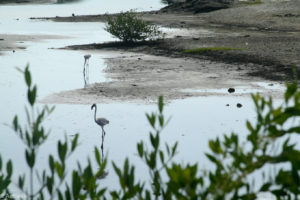 Curaçao Island-0007