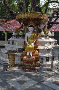Doi Suthep-0004