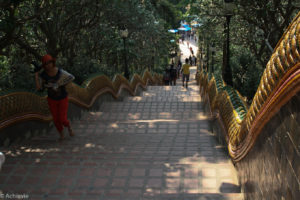 Doi Suthep-0008