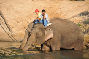 Floating Hotel – Elephants-0001