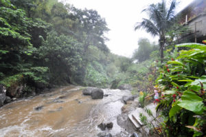 Grenada – Anandale waterfall-0003