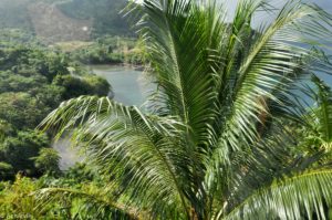 Grenada – intro-0001