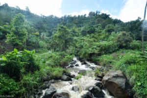 Grenada – intro-0002