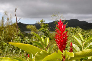 Grenada – intro-0004