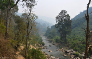 Lisu Lodge Elephant riding-0001