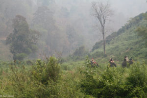 Lisu Lodge Elephant riding-0002