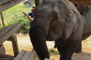 Lisu Lodge Elephant riding-0005