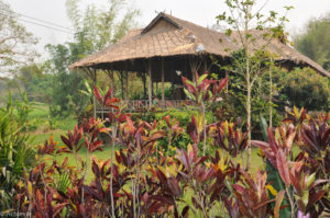 Lisu Lodge Resort-0003
