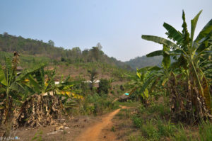 Lisu Lodge Tribe village-0003