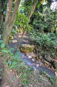 Saint Lucia Island-0010