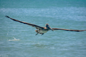 Saint Martin Island-0007