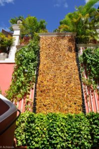 Saint Thomas Island-0010