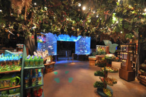 Rainforest Café, New York