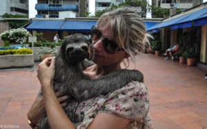 Cartagena_Sloth-0002