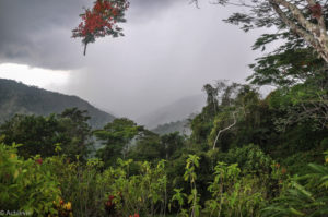 Costa Rica_Main-0001