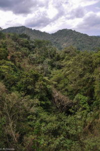 Costa Rica_Tour-0003