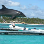 Punta Cana, Dominican Republic - Swimming with dolphins