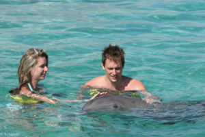 Dominican Rep_Dolphins-0006