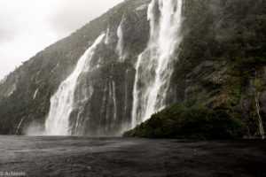 Doubtful Sound – Cruise-0001