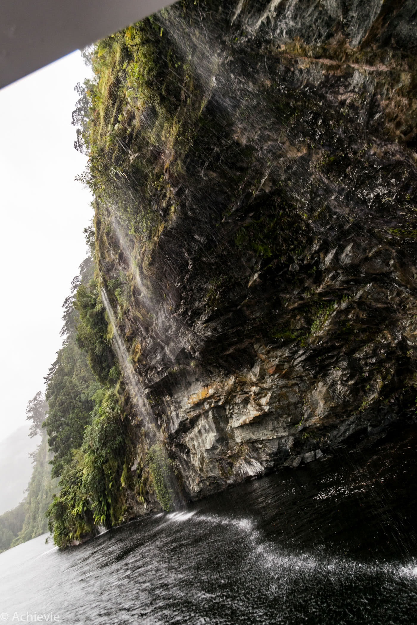 Doubtful Sound – Cruise-0003