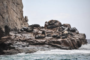 Mexico_Boat tour-0003