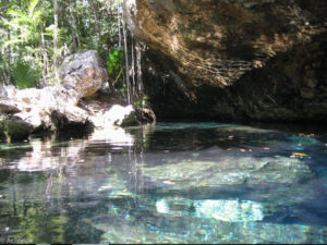 Mexico_Cenote-0008