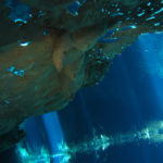 Playa del Carmen, Mexico - Cristalino Cenote - Scuba diving