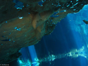 Mexico_Cenote-0015
