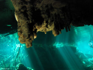 Mexico_Cenote-0017
