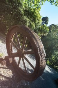 New Zealand-Waihi Biking-0001