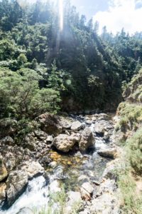 New Zealand-Waihi Biking-0003