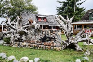 Telegraph Cove_Whales-0001
