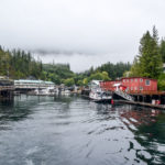 Telegraph Cove, Canada - Stubbs Island Whale watching tour