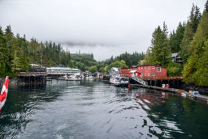 Telegraph Cove_Whales-0002