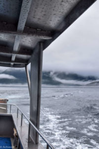 Telegraph Cove_Whales-0010