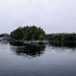 Telegraph Cove, Canada - Stubbs Island Whale watching tour