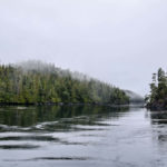 Telegraph Cove, Canada - Stubbs Island Whale watching tour