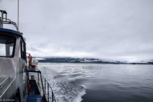 Telegraph Cove_Whales-0014