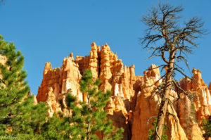 Bryce Canyon-0003