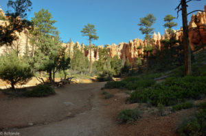 Bryce Canyon-0005