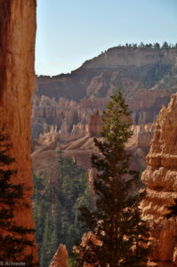 Bryce Canyon-0011