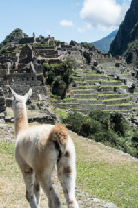 Inca Trail, Peru - Machu Picchu Landmark - 3 day Trekking