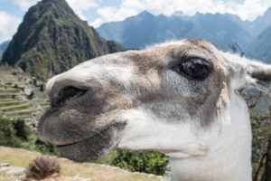 Inca Trail, Peru - Machu Picchu Landmark - 3 day Trekking