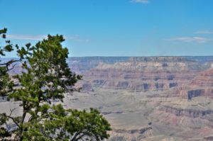 Grand Canyon-0009