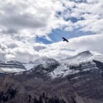 Jasper_NationalPark_Main-0001