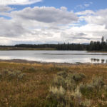 Yellowstone National Park, Wyoming, USA - Yellowstone Lake - Storm Point Trail