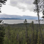 Yellowstone National Park, Wyoming, USA - Yellowstone Lake - Storm Point Trail